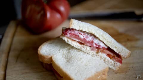 tomato sandwich