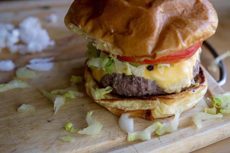 bison burger