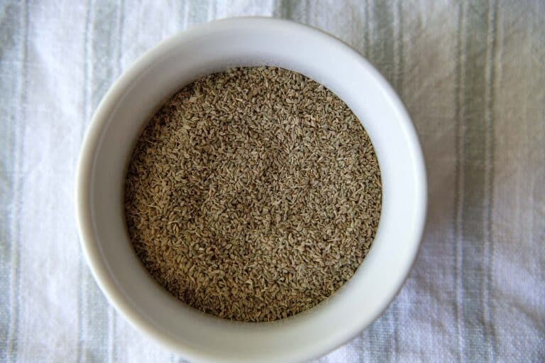 Comparing Ajwain and Fennel: A Closer Look at Two Versatile Spices