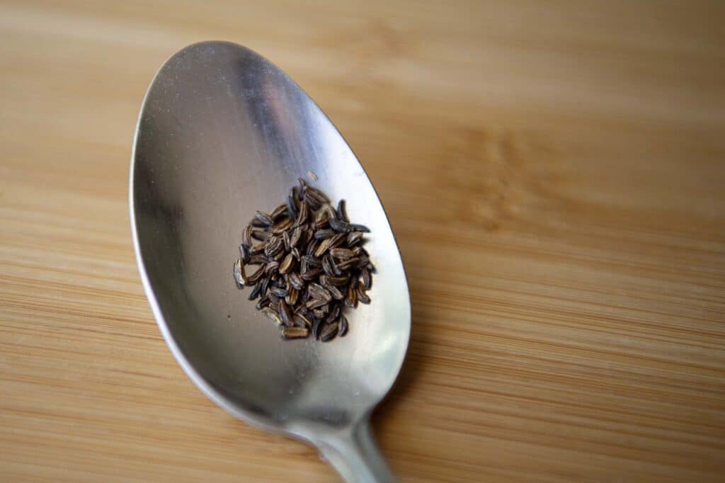 Alexanders seeds sitting in a spoon.