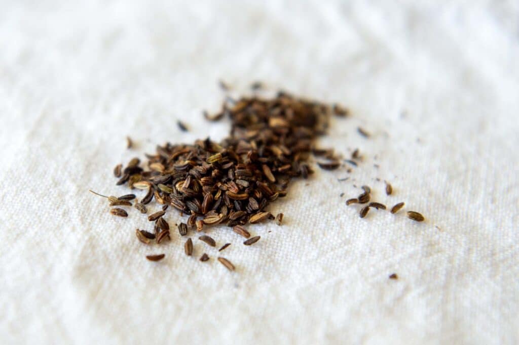 Alexanders seeds on a white linen.