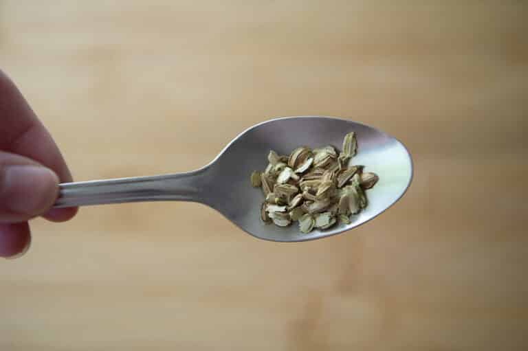 Angelica seeds resting on a spoon.