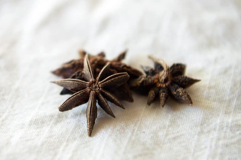 Anise sitting on a linen.