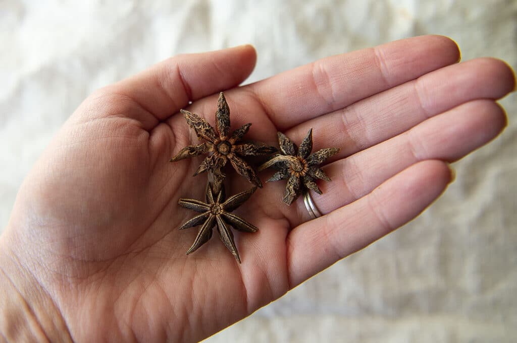 Anise resting in a hand with linen in the background.