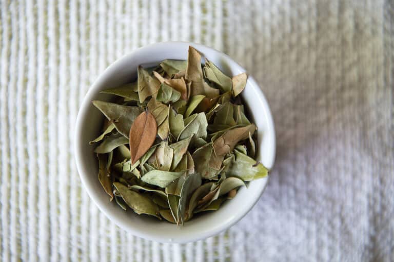 Top down shot of myrtle leaves resting in a ramakin.