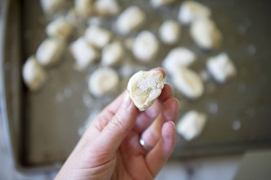 A hand holding up the uncooked dumplings for Knoephla soup.