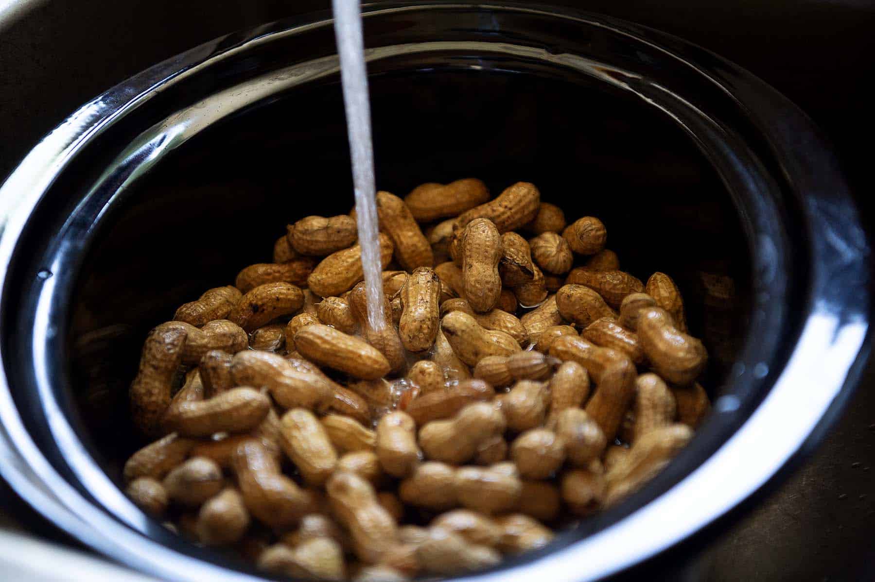 Boiled Peanuts