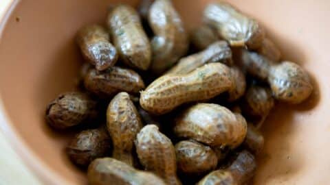 A close-up of a bowl filled with boiled peanuts, showing their slightly wrinkled shells and moist texture inside a brown dish. The boiled peanuts glisten softly, highlighting their fresh, savory appeal.