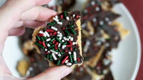 A hand holds a piece of chocolate-covered cookie topped with red, white, and green sprinkles, with more decorated cookies blurred in the background on a white plate.