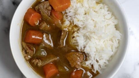 A bowl of rice and meat.