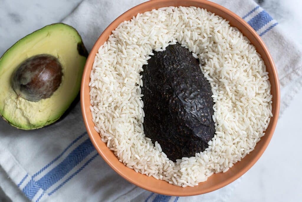 A whole avocado with dark skin sits in a bowl of uncooked white rice, next to a halved avocado on a white towel with blue stripes.