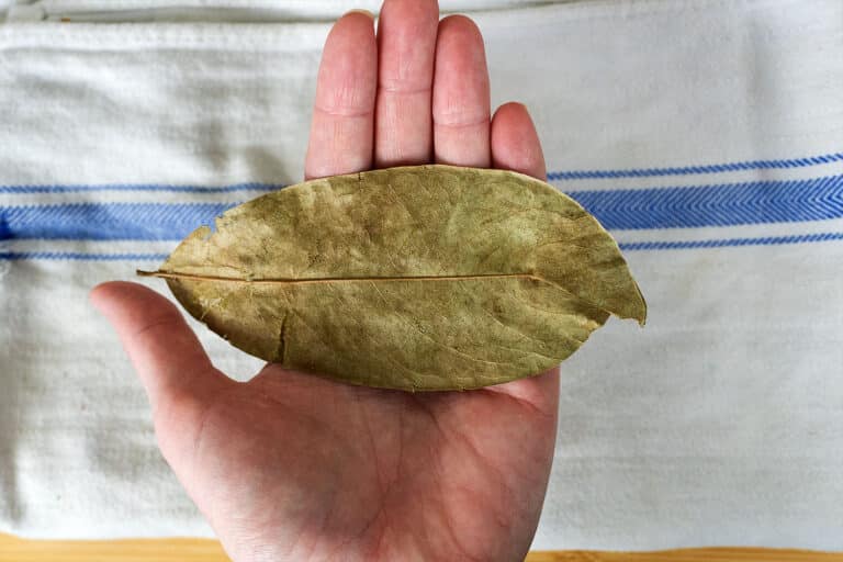 A hand holding a large dried bay leaf above a white cloth with a blue striped pattern.