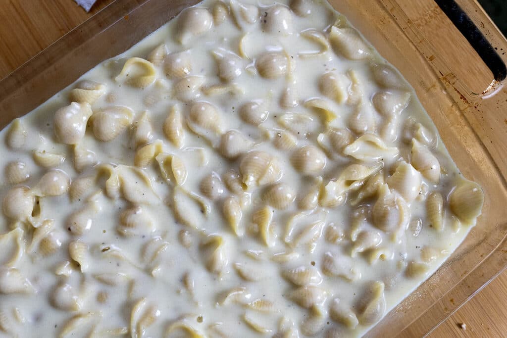 A close-up of a glass baking dish filled with pasta shells coated in a creamy white cheese sauce, ready to be baked.