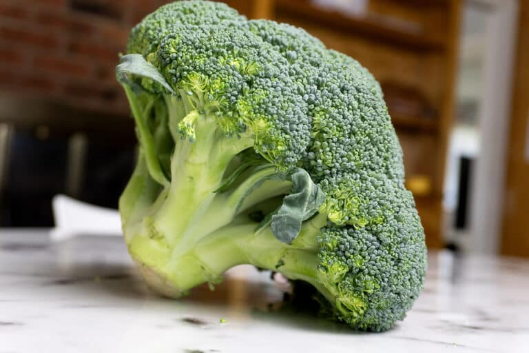 A fresh head of broccoli sits on a white marble countertop, with its green florets and stalks clearly visible. The background is softly blurred, showing kitchen shelves and a brick wall.
