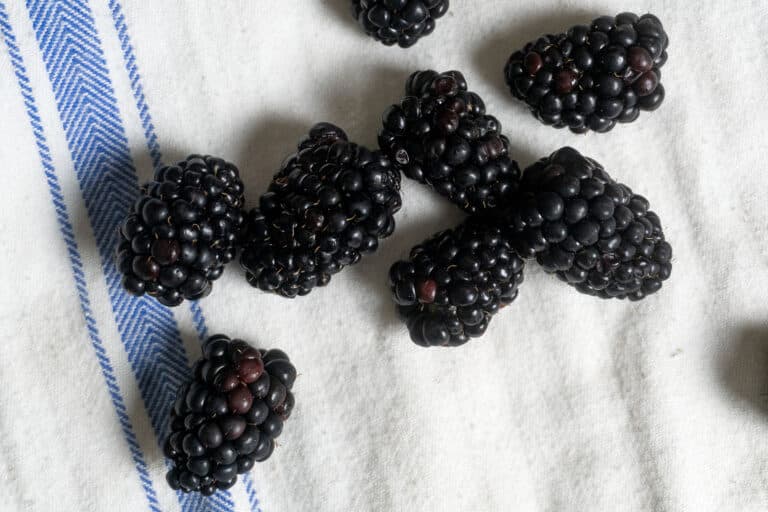 Several fresh blackberries are scattered on a white cloth with blue stripes, beside crisp bok choy leaves.