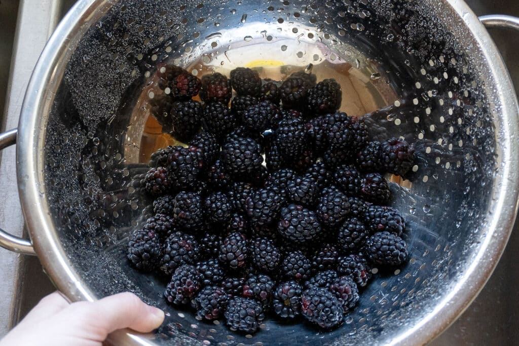 A hand holds a metal colander filled with freshly washed blackberries. Water droplets are visible on the berries and inside the colander. The colander rests over a kitchen sink.